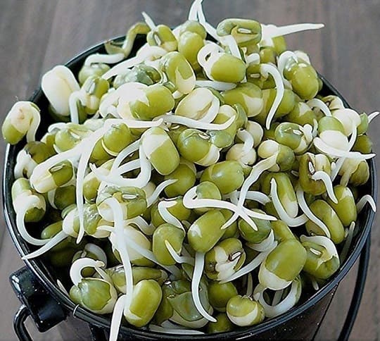 6 Least Known Health Benefits of Consuming Sprouts