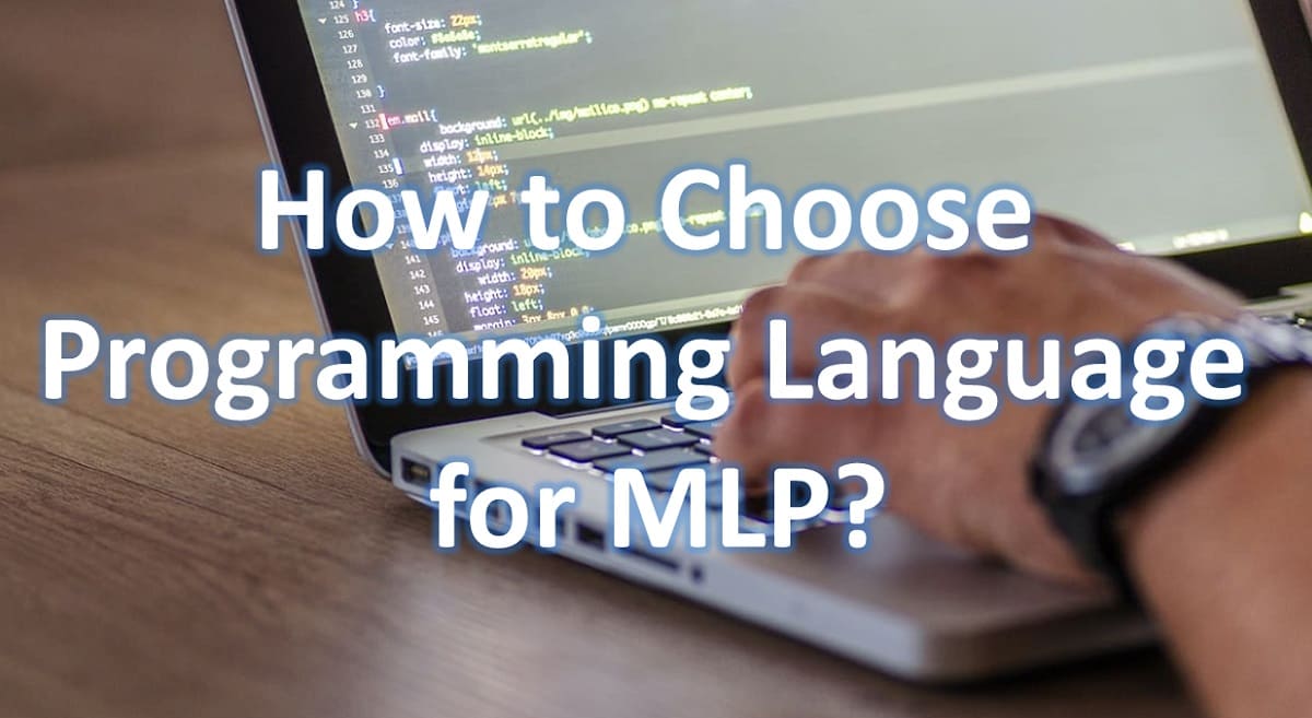 How to Choose a Programming Language for MLP?