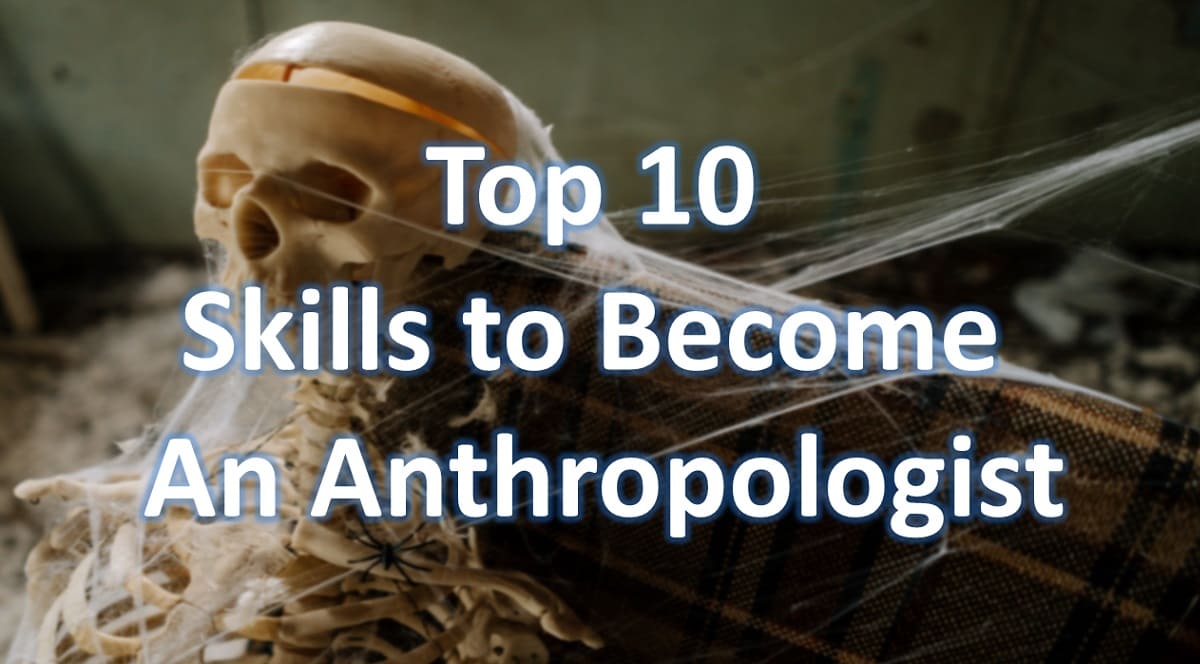 Top 10 Skills to Become an Anthropologist in 2024