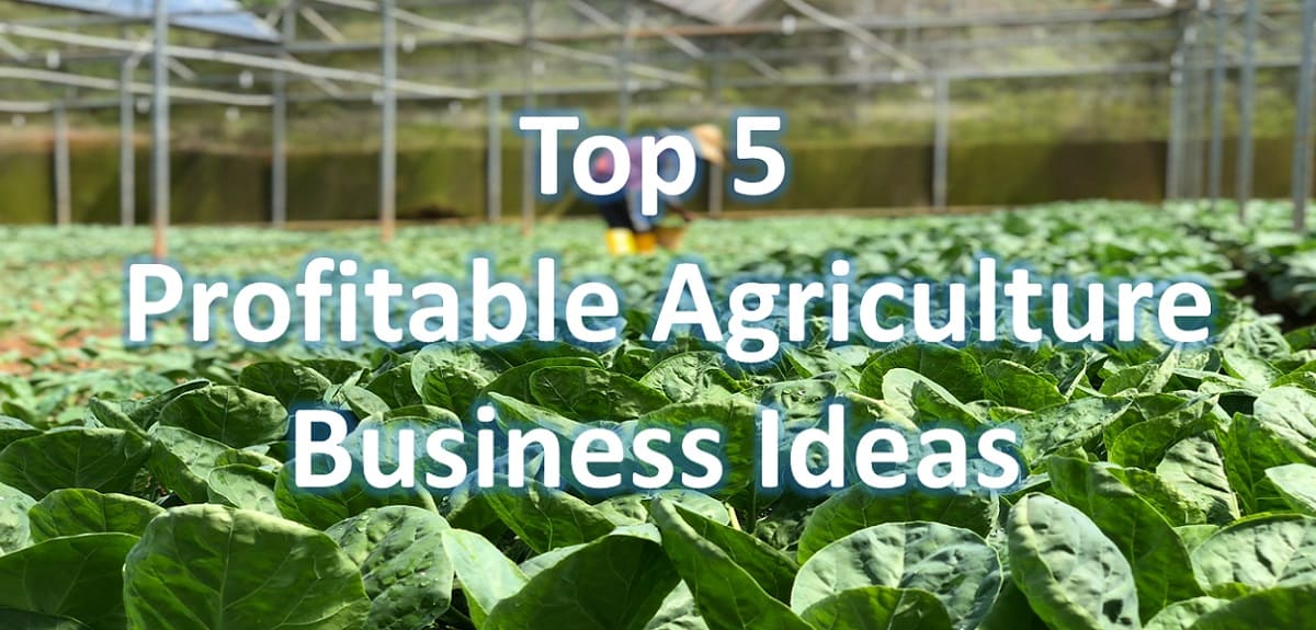 Top 5 Profitable Agriculture Business Ideas In The USA