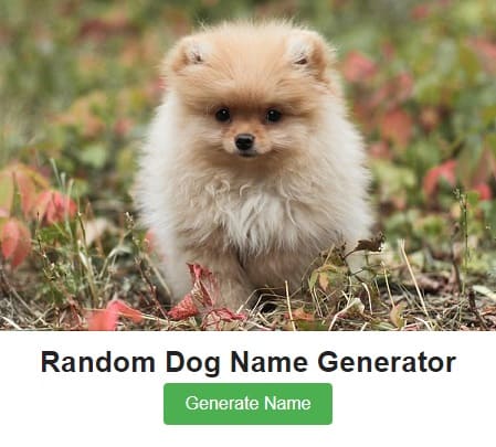 Create Dog Name Generator Online Tutorial