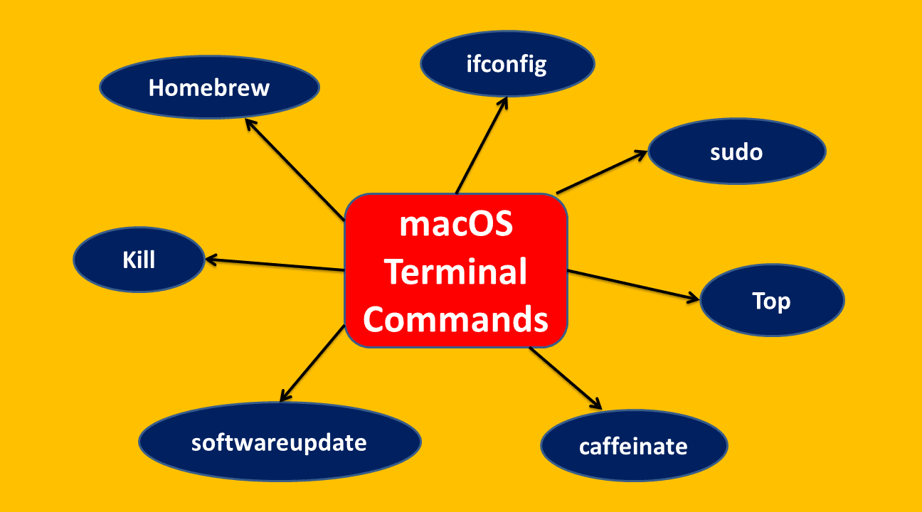 7 Essential macOS Terminal Commands Every User Should Know