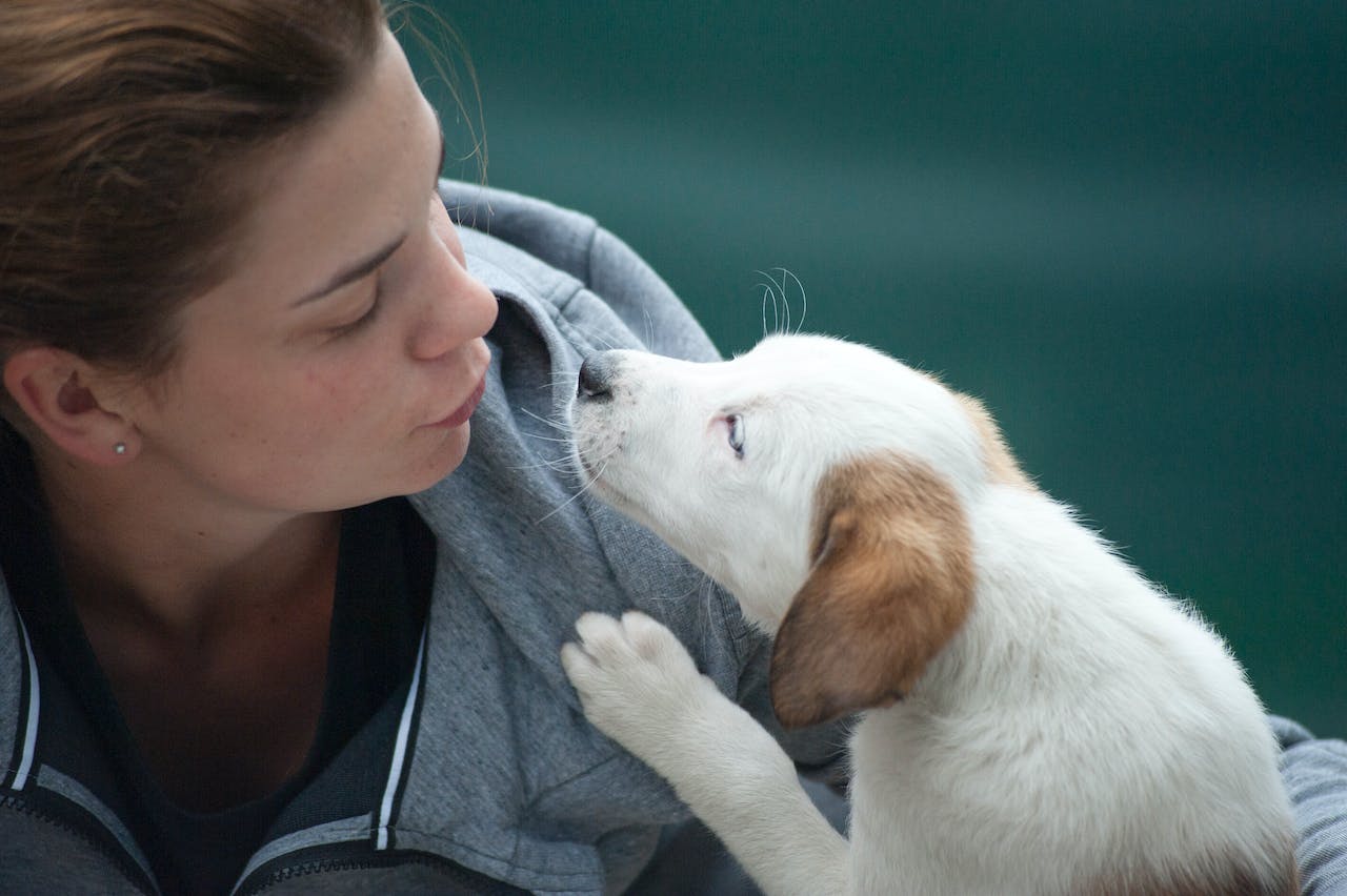 How Do You Express Your Love To Your Pets?
