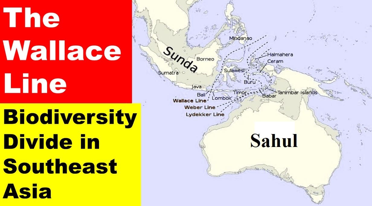 The Wallace Line: Biodiversity Divide in Southeast Asia