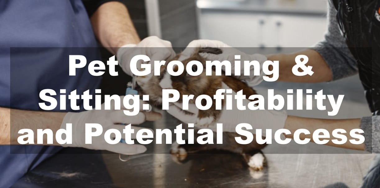 Pet Grooming & Sitting: Profitability and Potential Success