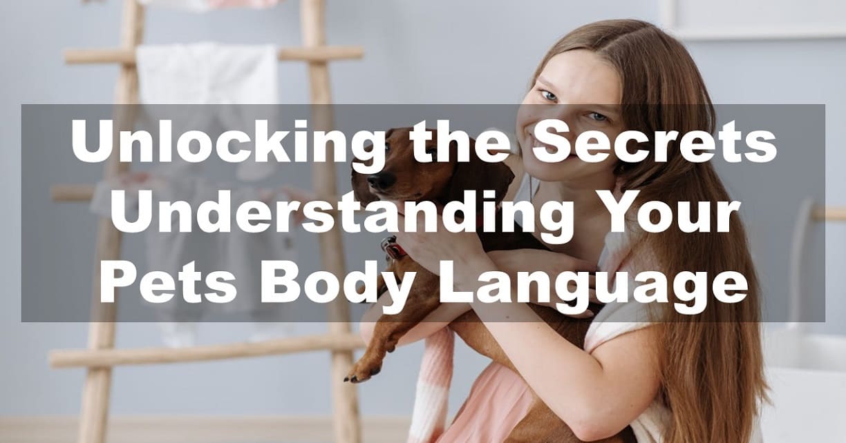 Unlocking the Secrets: Understanding Your Pets Body Language