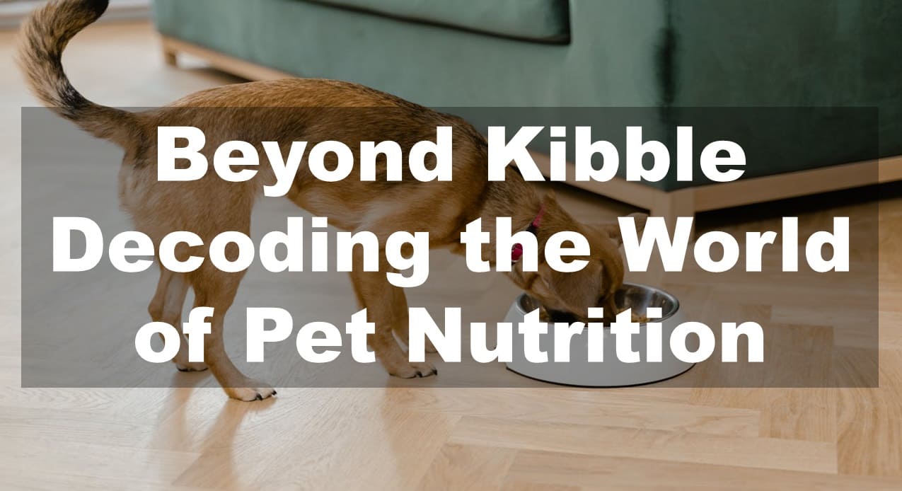 Beyond Kibble: Decoding the World of Pet Nutrition