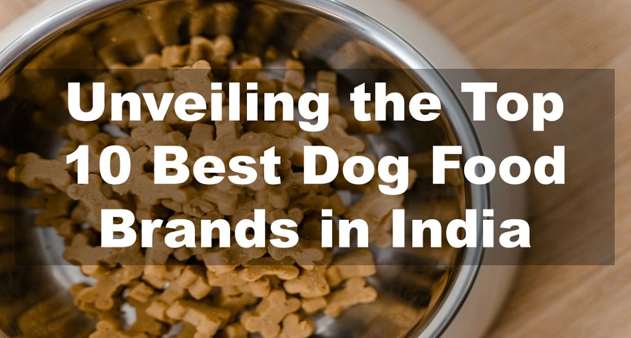 Top 10 Best Dog Food Brands in India