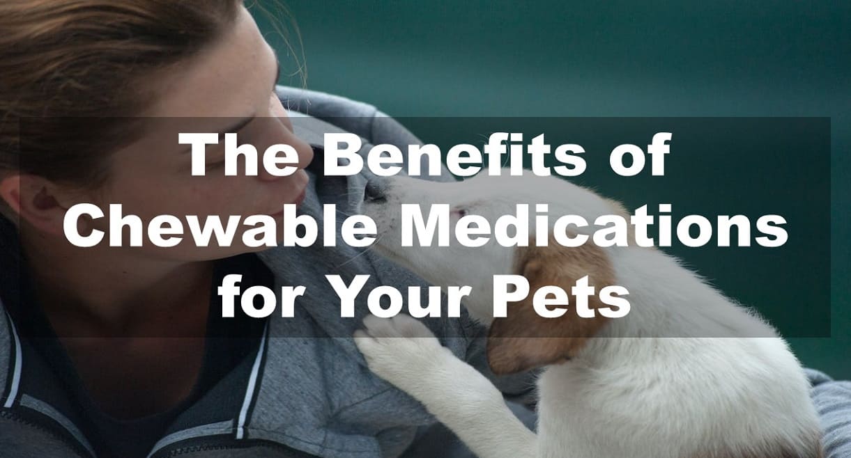 The Benefits of Chewable Medications for Your Pets