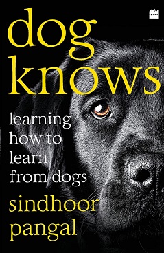Dog Knows: Learning How to Learn from Dogs by Sindhoor Pangal