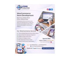 LIYAN IT SOLUTION | Best IT Company in Jaipur | Top Shopify Development Expert in Jaipur - 1