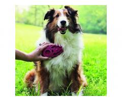 Zoom Groom Dog Brush for Pets - 2