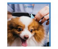 HANK flea comb for dog and cat, ticks and fleas remover comb - 2