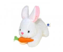 Rabbit Soft Toy for Kids with Carrot Buy Online India - 1