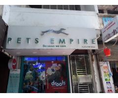 Pets Empire Pet Shop In Patel Nagar Pet Salon Dog Clinic In Delhi