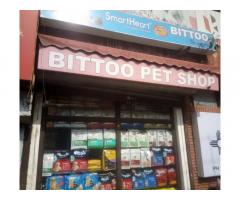 Bittoo Pet Shop Delhi, Dog Puppies Food Products Best Shop