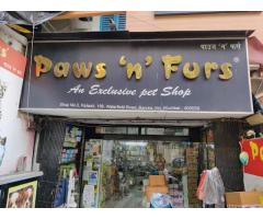 Paws N Furs Pet supply store Mumbai - 1