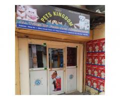 Pets Kingdom Pet store in Mumbai, Maharashtra - 1