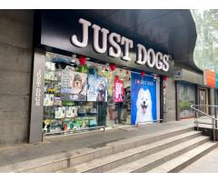 Just Dogs Pet supply Store in Pune, Maharashtra - 1