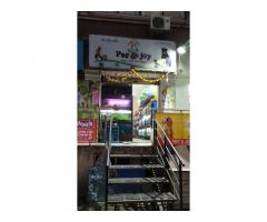 Pet & Joy Pet store in Pune, Maharashtra