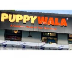 PUPPYWALA Pet store in Bhopal, Madhya Pradesh - 1