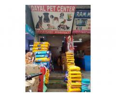 Dayal Pet Center - Pet Food & Pet Shop Bhopal - 2