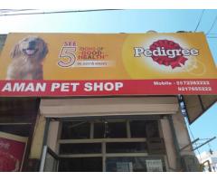 Aman Pet Shop Pet store in Ludhiana, Punjab