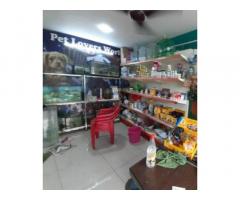 Pet lovers world Pet store in Ludhiana, Punjab