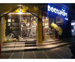 Dogs & Pups Pet Shop & Clinic Lucknow - 1