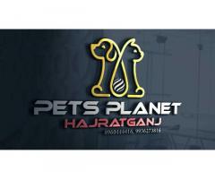 Pets Planet - Best Pet Shop In Hazrat ganj Lucknow