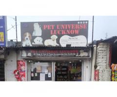 Pet Universe Lucknow Pet store in Uttar Pradesh - 1