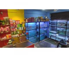 Royal Pets & Aquarium Pet store in Lucknow, Uttar Pradesh - 3