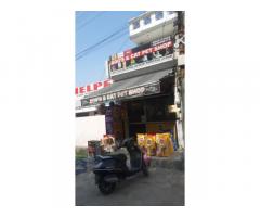 Dogs and Cat Pets Shop Lucknow - 1