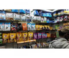 Dogs and Cat Pets Shop Lucknow - 2