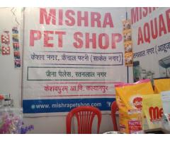 Mishra Pet Shop Pet store in Kanpur, Uttar Pradesh