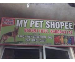 My Pet Shopee Pet supply store in Kanpur, Uttar Pradesh