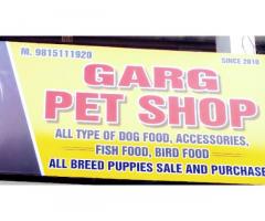 Garg Pet Shoppe Pet store in Patiala, Punjab - 1
