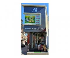 Mehar Pet Shop Pet supply store in Patiala, Punjab - 1