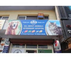 All About Animals Pet store in Patiala Punjab