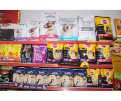All About Animals Pet store in Patiala Punjab