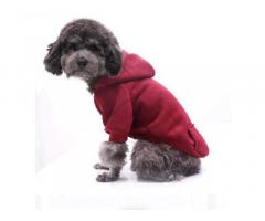 Dog Cat Clothes Winter Sweater Denim Pocket - 1