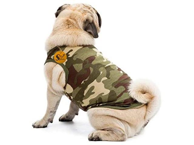 Sage Square Dog Hoodie Vest for Cold Weather - 1/2