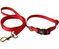 The Pets Company Leash and Collar Set Suitable for Puppies of All Dog Breeds - 1