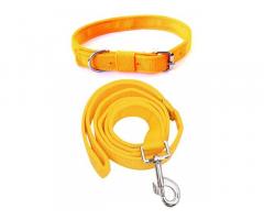 PEDIGONE Dog Belt Combo of Dog Collar with Dog Leash