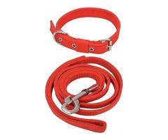 Senapati Dog Neck Collar Belts and Leash Set