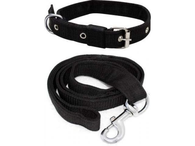 SENAPATI PET-Love Neck Collar Belt and Leash Set Black - 1/1