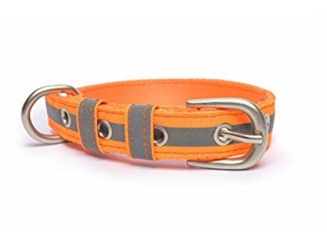 PetWale Reflective Orange Dog Belt Collar - 2/2