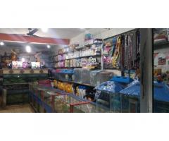Baby Fancy Fish Home And Pet Shop Faizabad
