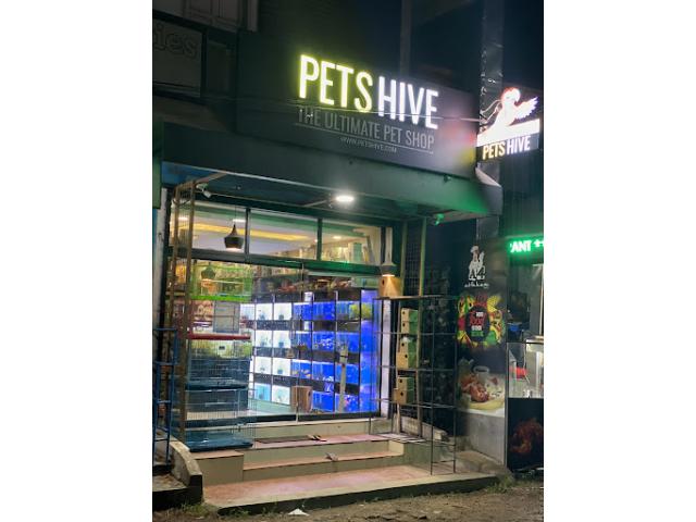 Pets Hive Pet store in Kerala - 1/2