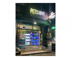 Pets Hive Pet store in Kerala